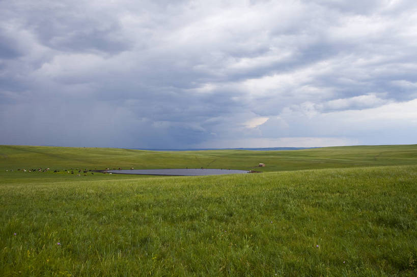 无人,横图,彩色,室外,白天,草地,草原,田园,牛,中国,亚洲,放牧,图片,水塘,白云,天空,自然,蒙,摄影,风光,原野,东亚,内蒙古,中华人民共和国,华北地区,内蒙古自治区,呼伦贝尔,bj174