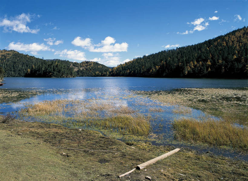 摄影师,横图,彩色,照片,室外,白天,旅游,湖,山,水,植物,香格里拉,中国,亚洲,光线,湖面,山川,水面,云,云朵,青山,云彩,迪庆,云南,东方,草,风景,蓝天,阳光,自然,天,摄影,晴天,大自然,水域,近景,自然风光,自然现象,东亚,摄像师,中甸,迪庆藏族自治州,云南省,中华人民共和国,西南地区,滇,迪庆州,香格里拉县,碧塔海自然保护区,bj174