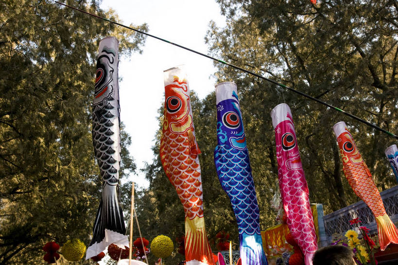 无人,摄影师,横图,彩色,室外,白天,仰视,鲤鱼,北京,中国,春节,亚洲,节日,庆祝,装饰,民俗,冬季,庙会,文化,传统,东方,树木,庆典,喜庆,灯会,晴天,纪念,文明,近景,中国文化,摄像师,地坛,bj174