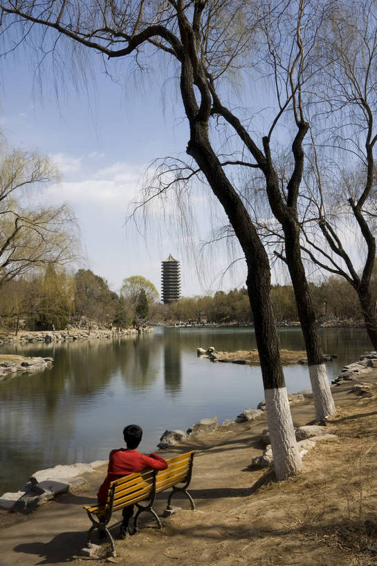 一个人,摄影师,学校,竖图,彩色,室外,白天,北京,中国,亚洲,湖畔,教育,历史,文化,校园,座椅,东方,树木,白云,蓝天,阳光,人工湖,背影,摄影,晴天,宁静,文明,闲适,摄像师,高等学府,祥和,坐着,旅行,大学,北京大学,未名湖,bj174