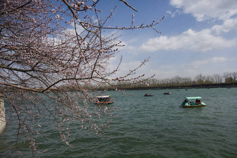 摄影师,颐和园,横图,彩色,室外,白天,旅游,北京,中国,亚洲,游人,古老,壮观,湖岸,湖面,辽阔,文化,东方,游船,白云,风景,蓝天,远景,安静,晴天,园林,宁静,空旷,文明,摄像师,昆明湖,世界文化遗产,皇家园林,花枝,旅行,广角,bj174