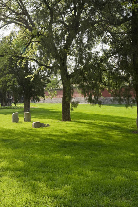 无人,摄影师,公园,竖图,彩色,室外,白天,旅游,草坪,城市,北京,中国,亚洲,古老,壮观,文化遗产,围墙,古迹,历史,文化,文物,东方,树,名胜,绿色,风景,阳光,绿地,晴天,宁静,安宁,清新,文明,摄像师,世界文化遗产,天坛公园,旅行,bj174