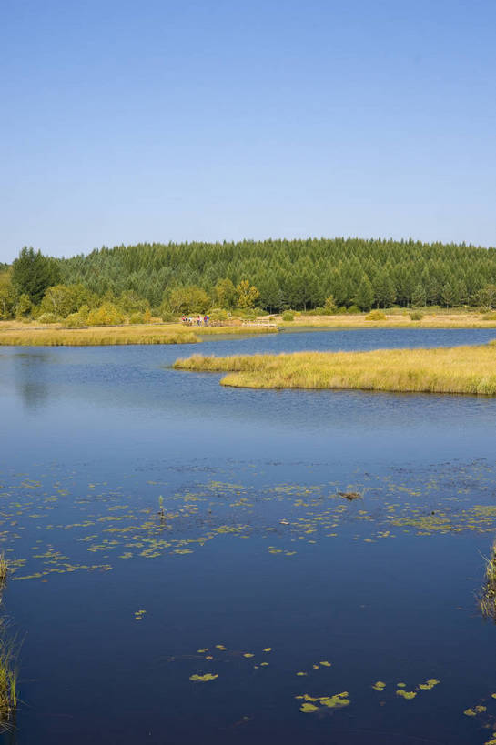 无人,摄影师,竖图,彩色,室外,白天,旅游,草原,湖泊,美景,树林,坝上,中国,亚洲,清澈,景观,辽阔,名胜,倒影,风景,蓝天,阳光,自然,景色,蒙,晴天,自然风光,东亚,摄像师,内蒙古,塞罕坝,中华人民共和国,华北地区,河北,河北省,冀,内蒙古自治区,鄂尔多斯市,承德,承德市,幽静,秀美,自然景观,丰宁县,大滩镇,坝上草原,丰宁满族自治县,京北第一草原,丰宁,杭锦旗,七星湖,bj174