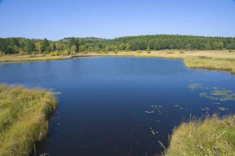 无人,摄影师,横图,彩色,室外,白天,旅游,草原,湖泊,美景,树林,坝上,中国,亚洲,景观,辽阔,名胜,风景,蓝天,阳光,自然,景色,蒙,晴天,自然风光,东亚,摄像师,内蒙古,塞罕坝,中华人民共和国,华北地区,河北,河北省,冀,内蒙古自治区,鄂尔多斯市,承德,承德市,幽静,秀美,自然景观,丰宁县,大滩镇,坝上草原,丰宁满族自治县,京北第一草原,丰宁,杭锦旗,七星湖,bj174