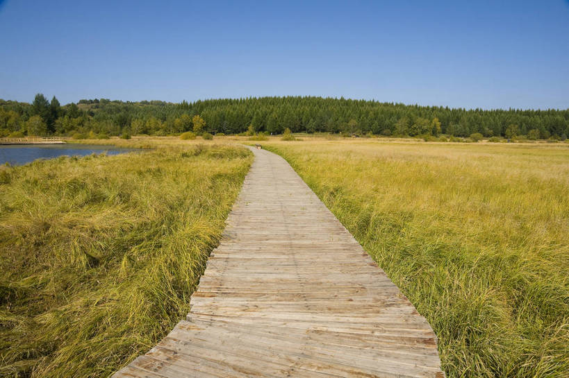 无人,摄影师,横图,彩色,室外,白天,旅游,草原,湖泊,美景,树林,坝上,中国,亚洲,景观,辽阔,名胜,风景,蓝天,阳光,自然,景色,蒙,木板路,晴天,自然风光,东亚,摄像师,内蒙古,塞罕坝,中华人民共和国,华北地区,河北,河北省,冀,内蒙古自治区,鄂尔多斯市,承德,承德市,幽静,秀美,自然景观,丰宁县,大滩镇,坝上草原,丰宁满族自治县,京北第一草原,丰宁,杭锦旗,七星湖,bj174