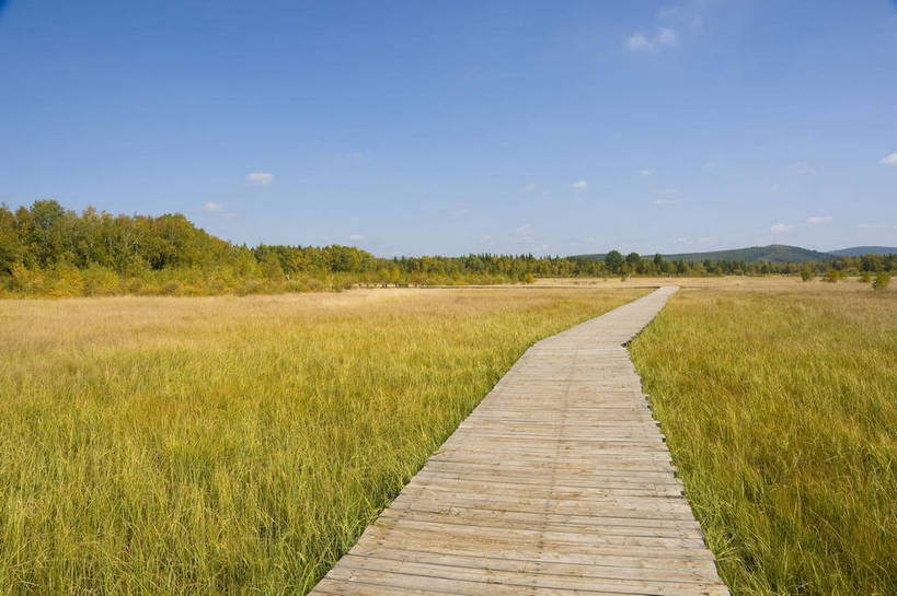 无人,摄影师,横图,彩色,室外,白天,旅游,草原,美景,树林,坝上,中国,亚洲,景观,辽阔,名胜,白云,风景,蓝天,阳光,自然,景色,蒙,木板路,茂盛,晴天,自然风光,东亚,摄像师,内蒙古,塞罕坝,中华人民共和国,华北地区,河北,河北省,冀,内蒙古自治区,鄂尔多斯市,承德,承德市,幽静,秀美,自然景观,丰宁县,大滩镇,坝上草原,丰宁满族自治县,京北第一草原,丰宁,杭锦旗,七星湖,bj174