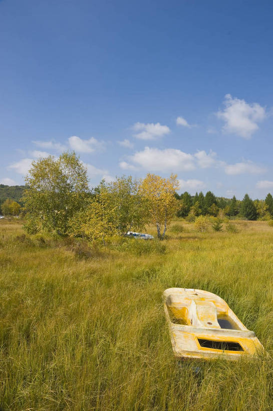 无人,摄影师,竖图,彩色,室外,白天,旅游,草原,美景,树林,坝上,中国,亚洲,景观,辽阔,杂物,名胜,白云,风景,蓝天,阳光,自然,景色,蒙,茂盛,晴天,自然风光,东亚,摄像师,内蒙古,塞罕坝,中华人民共和国,华北地区,河北,河北省,冀,内蒙古自治区,鄂尔多斯市,承德,承德市,幽静,秀美,自然景观,丰宁县,大滩镇,坝上草原,丰宁满族自治县,京北第一草原,丰宁,杭锦旗,七星湖,bj174