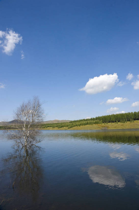 无人,摄影师,竖图,彩色,室外,白天,旅游,草原,湖泊,美景,树林,坝上,中国,亚洲,清澈,景观,山川,辽阔,江西,名胜,白云,倒影,风景,蓝天,阳光,自然,景色,晴天,自然风光,东亚,摄像师,塞罕坝,江西省,南昌,中华人民共和国,华北地区,华东地区,省会,赣,河北,河北省,冀,南昌市,承德,承德市,幽静,秀美,自然景观,丰宁县,大滩镇,坝上草原,丰宁满族自治县,京北第一草原,丰宁,神龙潭,bj174