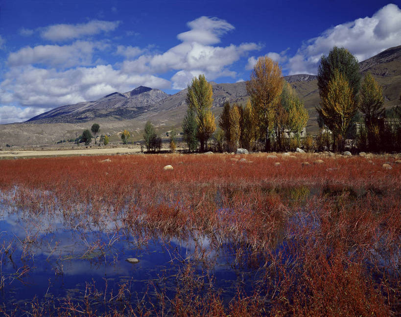无人,横图,彩色,室外,白天,旅游,度假,湖,美景,名胜古迹,山脉,树林,植物,标志建筑,地标,建筑,中国,亚洲,遗迹,图片,草药,药草,古迹,文物,娱乐,建设,古建筑,中药,草,白云,风景,蓝天,天空,自然,享受,休闲,旅游胜地,放松,摄影,地理,四川省,风光,宁静,空旷,自然风光,药材,中草药,滩涂,古文明,东亚,四川,稻城,甘孜藏族自治州,中药材,本草,中华人民共和国,西南地区,川,甘孜,甘孜州,稻城县,红草,茏古,天蓼,bj174