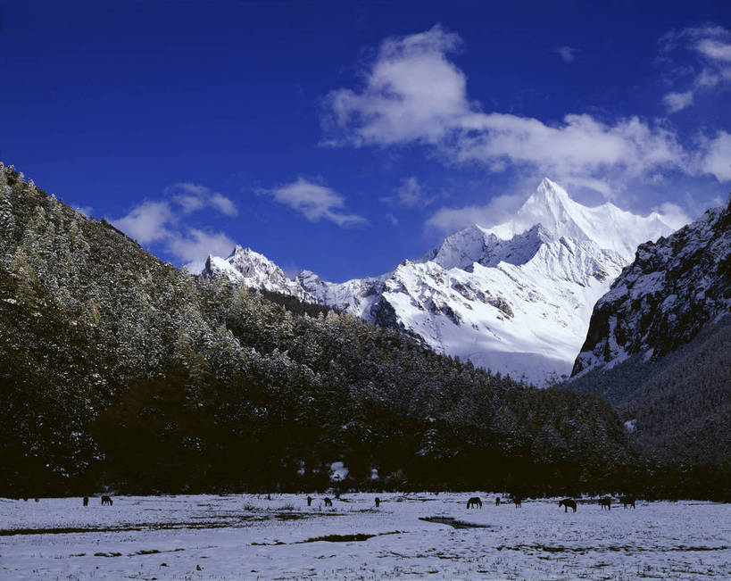 无人,横图,彩色,室外,白天,旅游,度假,美景,名胜古迹,森林,山,树林,峡谷,雪山,标志建筑,地标,建筑,中国,亚洲,放牧,遗迹,图片,高山,山峰,古迹,文物,娱乐,建设,古建筑,风景,蓝天,天空,自然,享受,休闲,旅游胜地,放松,摄影,地理,四川省,风光,宁静,自然风光,古文明,东亚,四川,稻城,亚丁,甘孜藏族自治州,中华人民共和国,西南地区,川,甘孜,甘孜州,险峻,稻城三神山,稻城县,稻城亚丁,念青贡嘎日松贡布,三神山,亚丁风景区,夏诺多吉,夏诺多吉神山,bj174