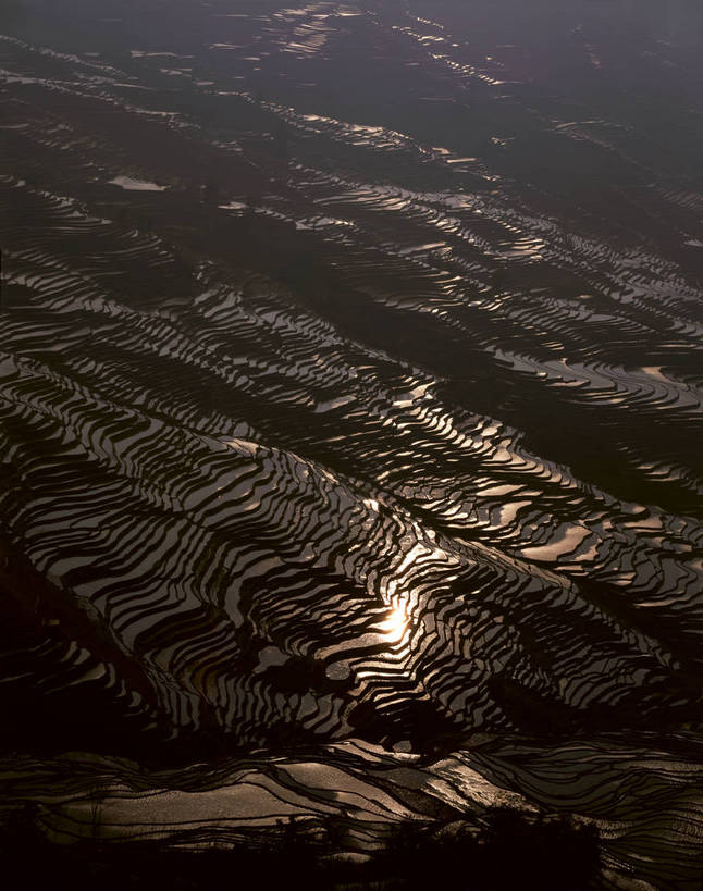 无人,农田,竖图,俯视,彩色,室外,特写,白天,旅游,度假,庄稼,梯田,农作物,美景,名胜古迹,田园,标志建筑,地标,建筑,中国,亚洲,遗迹,图片,稻田,景观,古迹,文物,娱乐,建设,古建筑,云南,自然,享受,休闲,旅游胜地,景色,放松,摄影,宁静,自然风光,古文明,东亚,元阳,云南省,中华人民共和国,西南地区,滇,红河,红河州,红河哈尼族彝族自治州,攀枝花,哀牢山,元阳梯田,元阳县,耕地,庄稼田,元阳哈尼族梯田,bj174