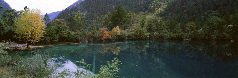 无人,横图,俯视,彩色,室外,特写,白天,旅游,度假,湖,美景,名胜古迹,树林,植物,标志建筑,地标,建筑,九寨沟,中国,亚洲,遗迹,图片,红树,水潭,古迹,文物,娱乐,建设,古建筑,风景,自然,享受,休闲,旅游胜地,放松,茂密,摄影,地理,四川省,茂盛,风光,宁静,近景,自然风光,古文明,东亚,四川,阿坝,中华人民共和国,西南地区,阿坝藏族羌族自治州,阿坝州,川,九寨沟县,五彩斑斓,bj174