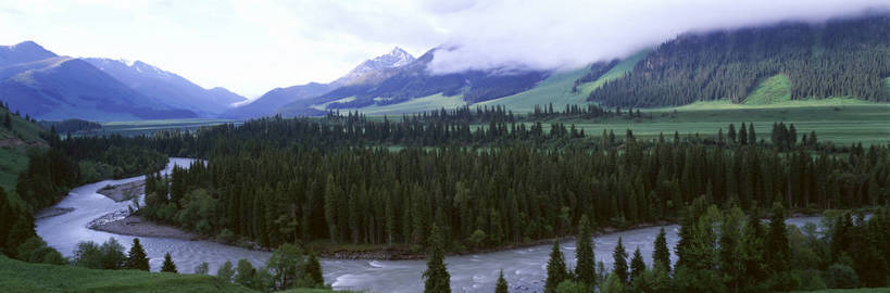 无人,横图,俯视,彩色,室外,白天,旅游,度假,草原,湖,美景,名胜古迹,森林,山,树林,水,标志建筑,地标,建筑,中国,亚洲,遗迹,图片,古迹,文物,娱乐,建设,古建筑,风景,自然,平原,群山,享受,休闲,远景,旅游胜地,放松,摄影,地理,风光,宁静,自然风光,古文明,东亚,纯净,新疆,克拉玛依,中华人民共和国,新疆维吾尔自治区,西北地区,克拉玛依市,河,准噶尔,准噶尔盆地,新,独山子区,玛依套,bj174