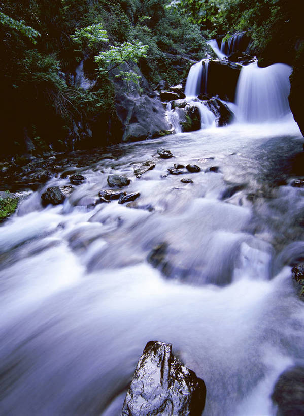 无人,竖图,彩色,室外,特写,白天,旅游,度假,石头,美景,名胜古迹,瀑布,水,溪流,标志建筑,地标,建筑,中国,亚洲,飞溅,遗迹,溅,图片,液体,水滴,青苔,古迹,文物,娱乐,建设,古建筑,水珠,树木,风景,小溪,自然,享受,休闲,旅游胜地,放松,摄影,地理,风光,宁静,喷洒,自然风光,古文明,东亚,纯净,湖北,湖北省,神农架,中华人民共和国,华中地区,鄂,跌水,华中屋脊,神农架林区,神农架自然保护区,林区,bj174