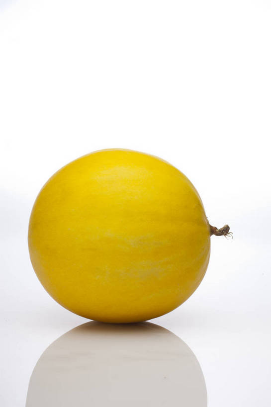 竖图,彩色,室内,特写,抠图,白色背景,水果,中国,亚洲,完整,新鲜,图片,瓜,美味,食品,营养,食物,一个,黄色,伊丽莎白瓜,摄影,无公害,东亚,健康食品,影棚拍摄,bj174