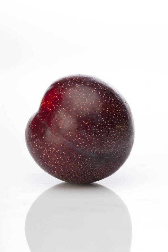 竖图,彩色,室内,特写,抠图,白色背景,李子,水果,中国,亚洲,完整,新鲜,光泽,图片,美味,食品,暗红,营养,食物,一个,紫色,摄影,无公害,东亚,黑布林,健康食品,布冧,影棚拍摄,中国李,bj174