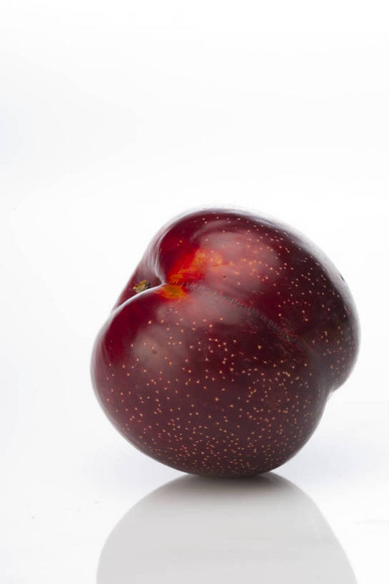 竖图,彩色,室内,特写,抠图,白色背景,李子,水果,中国,亚洲,完整,新鲜,光泽,图片,美味,食品,暗红,营养,食物,一个,紫色,摄影,无公害,东亚,黑布林,健康食品,布冧,影棚拍摄,中国李,bj174