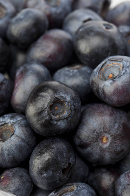 竖图,彩色,室内,特写,抠图,白色背景,蓝莓,水果,中国,亚洲,一堆,完整,新鲜,光泽,图片,美味,食品,暗红,营养,食物,紫色,多个,摄影,深色,无公害,东亚,健康食品,影棚拍摄,bj174