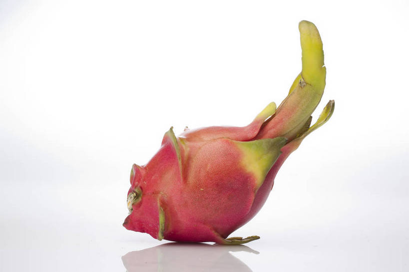 横图,彩色,室内,特写,抠图,白色背景,水果,中国,亚洲,完整,新鲜,图片,美味,食品,粉红,营养,火龙果,食物,一个,红色,摄影,无公害,东亚,健康食品,影棚拍摄,bj174