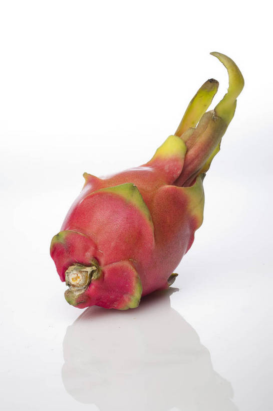 竖图,彩色,室内,特写,抠图,白色背景,水果,中国,亚洲,完整,新鲜,图片,美味,食品,粉红,营养,火龙果,食物,一个,红色,摄影,无公害,东亚,健康食品,影棚拍摄,bj174