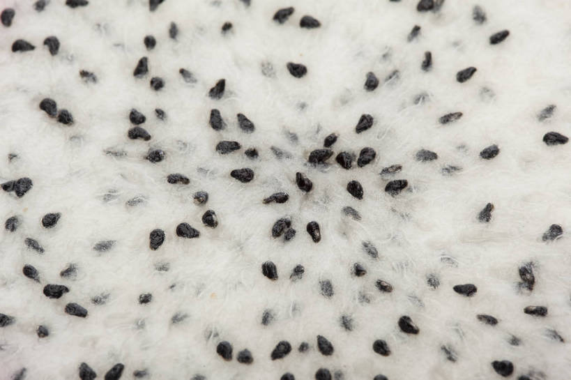 横图,彩色,室内,特写,抠图,白色背景,水果,中国,亚洲,一片,切开,新鲜,图片,美味,食品,内部,营养,火龙果,食物,白色,果肉,摄影,表皮,无公害,瓜瓤,东亚,健康食品,影棚拍摄,bj174