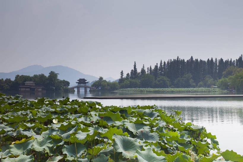 无人,公园,横图,彩色,室外,白天,旅游,湖,美景,名胜古迹,森林,标志建筑,地标,建筑,西湖,中国,图片,岛,建筑群,古典,建设,浙江,树,天空,凉亭,旅游胜地,安静,摄影,荷塘,杭州,文明,近景,中国文化,湖心岛,古代文明,荷花,旅行,曲院风荷,传统文化,bj174