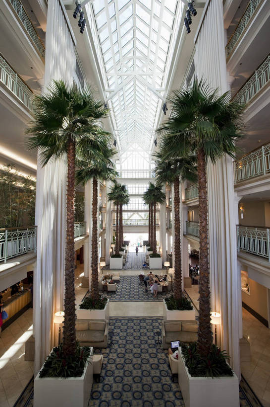 竖图,彩色,室外,白天,旅游,酒店,美国,游客,图片,豪华,辉煌,大堂,旅游胜地,摄影,文明,金碧辉煌,公共场所,发展,洛杉矶,繁荣,旅行,饭店,bj174