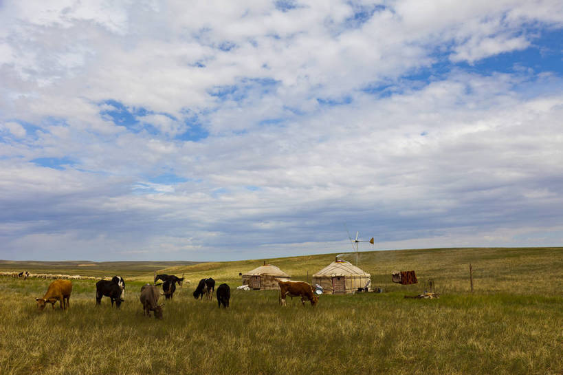 无人,横图,彩色,室外,白天,旅游,度假,草地,草原,名胜古迹,田园,标志建筑,地标,建筑,马,中国,亚洲,遗迹,图片,田野,古迹,文物,娱乐,马群,建设,古建筑,白云,蓝天,自然,平原,享受,休闲,旅游胜地,放松,蒙,摄影,风光,古文明,东亚,蒙古包,内蒙古,包头,中华人民共和国,华北地区,内蒙古自治区,包头市,牧马,旅行,达尔罕茂明安联合旗,达茂旗,希拉穆仁草原,bj174