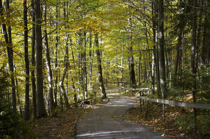 无人,横图,彩色,室外,特写,白天,旅游,度假,名胜古迹,田园,标志建筑,地标,建筑,德国,欧洲,遗迹,图片,城堡,乡村,城镇,建筑群,古典,古迹,文物,娱乐,建设,古建筑,新天鹅堡,树,享受,休闲,旅游胜地,放松,摄影,西欧,古堡,古文明,德意志联邦共和国,新天鹅城堡,巴伐利亚,巴伐利亚州,拜恩州,拜恩自由州,旧天鹅堡,施万高,施瓦本行政区,旅行,东阿尔高县,菲森,霍恩施万高,bj174