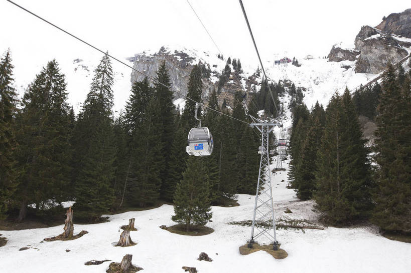 横图,彩色,室外,白天,旅游,度假,美景,名胜古迹,森林,山,山脉,雪山,标志建筑,地标,建筑,松树,瑞士,欧洲,遗迹,图片,山峰,古迹,文物,娱乐,建设,古建筑,缆车,天空,自然,享受,休闲,滑雪场,旅游胜地,放松,摄影,风光,度假村,古文明,中欧,瑞士联邦,旅行,上瓦尔登州,铁力士峰,铁力士雪山,bj174