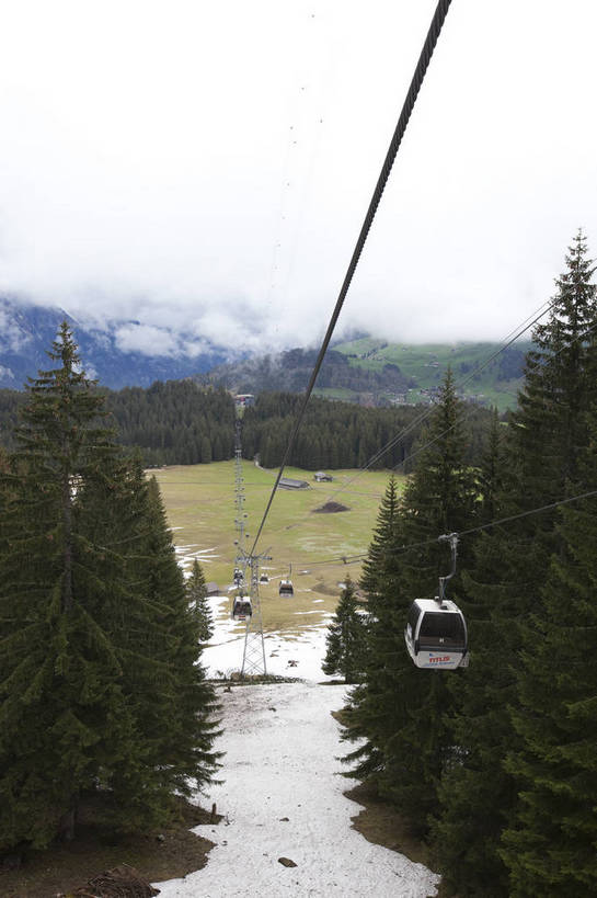 竖图,彩色,室外,白天,旅游,度假,美景,名胜古迹,森林,山,山脉,雪山,标志建筑,地标,建筑,松树,瑞士,欧洲,遗迹,图片,山峰,古迹,文物,娱乐,建设,古建筑,缆车,天空,自然,享受,休闲,滑雪场,旅游胜地,放松,竖,摄影,风光,度假村,古文明,中欧,瑞士联邦,旅行,上瓦尔登州,铁力士峰,铁力士雪山,bj174