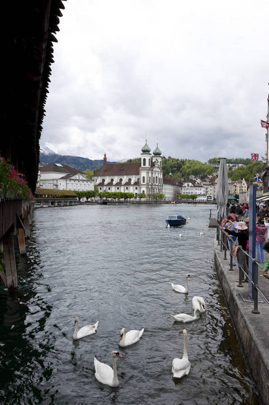 竖图,彩色,室外,白天,旅游,度假,湖,名胜古迹,田园,标志建筑,地标,建筑,天鹅,瑞士,欧洲,游客,遗迹,图片,城堡,建筑群,古典,古迹,文物,娱乐,建设,古建筑,卢塞恩湖,地标建筑,庄园,享受,休闲,旅游胜地,放松,竖,摄影,文明,脚踏船,古文明,中欧,廊桥,世界文化遗产,卢塞恩,瑞士联邦,琉森州,卢塞恩州,琉森,蜈蚣桥,教堂桥,卡贝尔桥,卡佩尔桥,虹桥,白天鹅,旅行,传统文化,卡佩尔廊桥,bj174