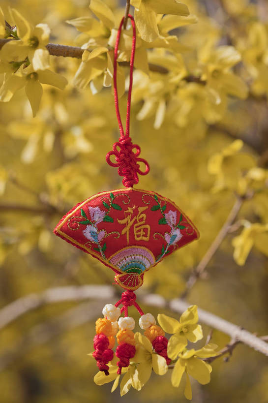 公园,竖图,彩色,室外,特写,白天,背景,旅游,度假,名胜古迹,标志建筑,地标,建筑,刺绣,北京,中国,悬挂,遗迹,图片,古迹,文物,娱乐,建设,古建筑,花卉,自然,福字,中国结,享受,休闲,香包,旅游胜地,放松,竖,摄影,风光,古文明,旅行,玉渊潭公园,bj174