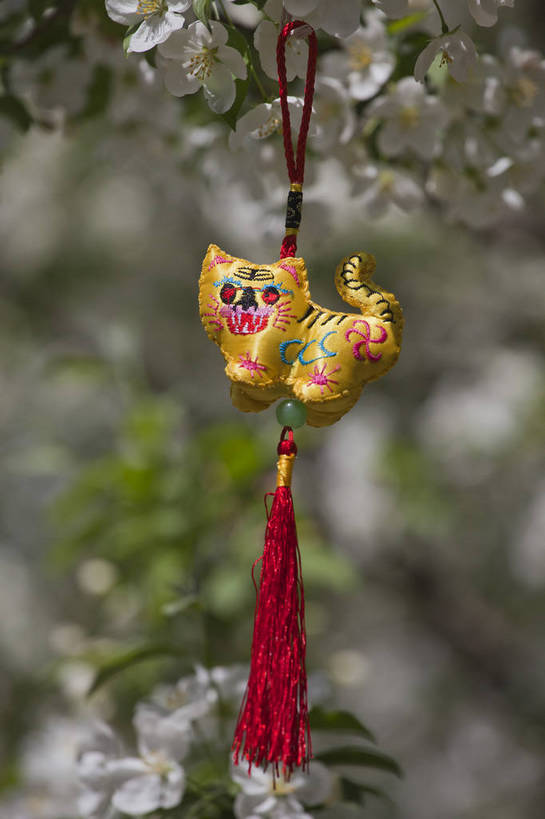 公园,竖图,彩色,室外,特写,白天,背景,旅游,度假,名胜古迹,标志建筑,地标,建筑,海棠花,虎,刺绣,北京,中国,亚洲,悬挂,遗迹,图片,首都,古迹,文物,娱乐,建设,古建筑,花卉,自然,中国结,享受,休闲,香包,旅游胜地,放松,竖,摄影,生肖,风光,古文明,东亚,海淀区,中华人民共和国,北京市,京,北平,华北地区,朝阳区,旅行,北京元大都城垣遗址公园,元大都土城遗址,元大都遗址,bj174