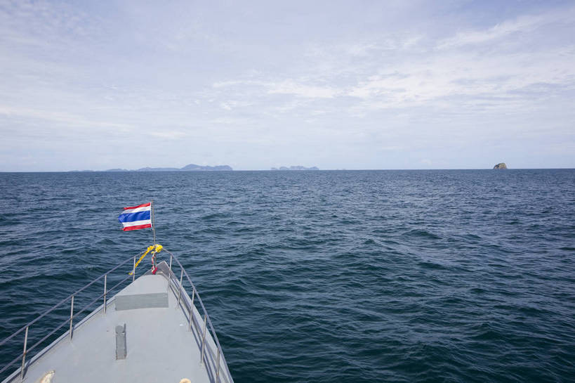 无人,横图,彩色,室外,特写,白天,莲花,泰国,图片,普吉岛,花,花瓣,花卉,一朵,自然,花蕊,摄影,美,清新,莲叶,bj174