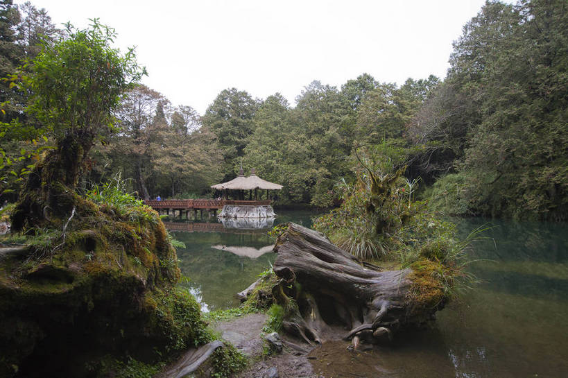 无人,横图,彩色,室外,白天,旅游,度假,湖,美景,森林,台湾,中国,图片,树根,潭,娱乐,自然,凉亭,享受,休闲,旅游胜地,放松,摄影,阿里山,旅行,bj174