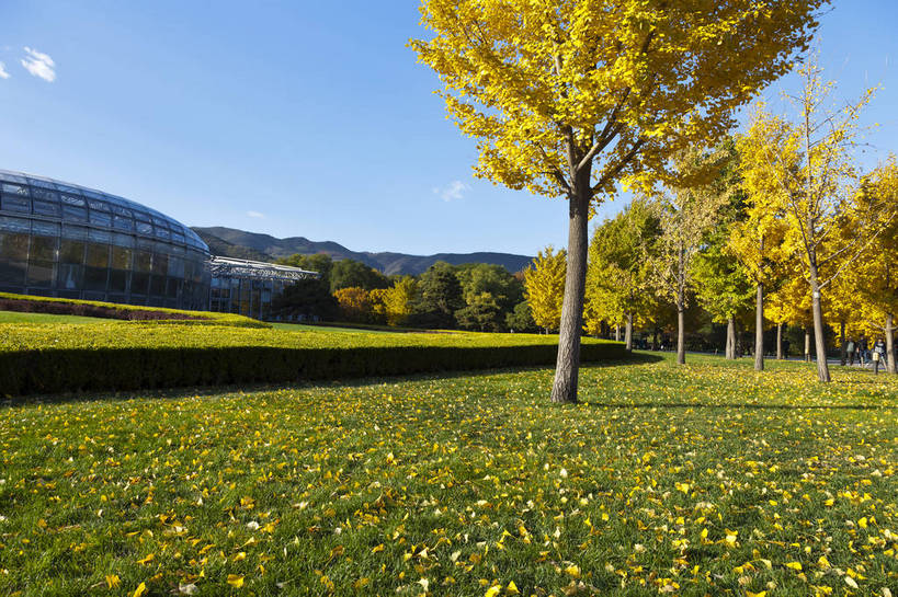 无人,公园,横图,彩色,室外,白天,旅游,草地,草坪,美景,山,树林,北京,中国,图片,自然,旅游胜地,摄影,风光,清新,香山,秋天,旅行,bj174