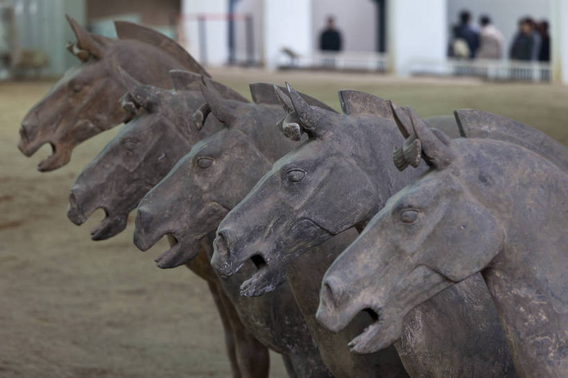 无人,横图,彩色,室内,特写,白天,旅游,度假,马,雕塑,兵马俑,西安,中国,风俗,雕像,图片,古典,文化,文物,娱乐,传统,工艺品,享受,休闲,旅游胜地,放松,精神,摄影,古董,战马,古物,文明,中国文化,古玩,陕西,秦始皇兵马俑,古代文明,制度,旅行,bj174