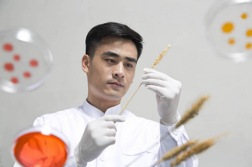 东方人,中年人,药剂师,科学家,横图,彩色,室内,白天,抠图,白色背景,正面,成功,机器,实验,研发,科技,北京,中国,仅一个人,服装,研究,科学,图片,实验室,设备,衣服,白色,健康,机械,器皿,成熟,活力,自信,摄影,服饰,科研,培育,衣着,白大褂,工作装,穿着,化验,检验,实验服,精明,衣饰,化学家,试验,男人,男性,年轻男性,亚洲人,中国人,年轻人,科学工作者,半身,影棚拍摄,愉快,实验衣,bj174