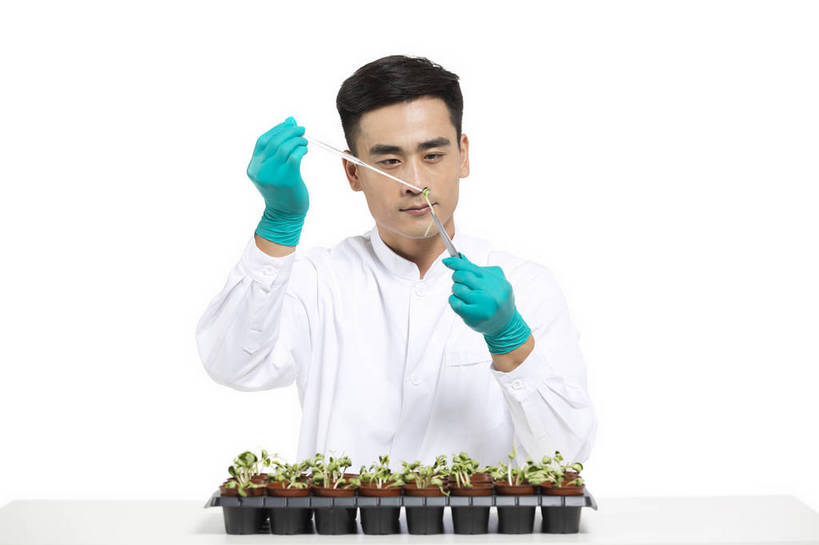 东方人,中年人,药剂师,科学家,横图,彩色,室内,白天,抠图,白色背景,正面,成功,机器,实验,研发,科技,植物,北京,中国,仅一个人,服装,研究,科学,图片,实验室,设备,衣服,白色,健康,机械,成熟,活力,自信,摄影,服饰,科研,培育,衣着,白大褂,工作装,穿着,化验,检验,实验服,精明,衣饰,化学家,试验,男人,男性,年轻男性,亚洲人,中国人,年轻人,科学工作者,半身,影棚拍摄,愉快,实验衣,bj174