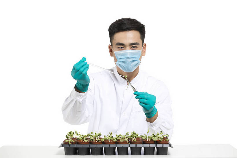 东方人,中年人,药剂师,科学家,横图,彩色,室内,白天,抠图,白色背景,正面,成功,机器,实验,研发,科技,植物,北京,中国,仅一个人,服装,研究,科学,图片,实验室,设备,衣服,白色,健康,机械,成熟,活力,自信,摄影,服饰,科研,培育,衣着,白大褂,工作装,穿着,化验,检验,实验服,精明,衣饰,化学家,试验,男人,男性,年轻男性,亚洲人,中国人,年轻人,科学工作者,半身,影棚拍摄,愉快,实验衣,bj174