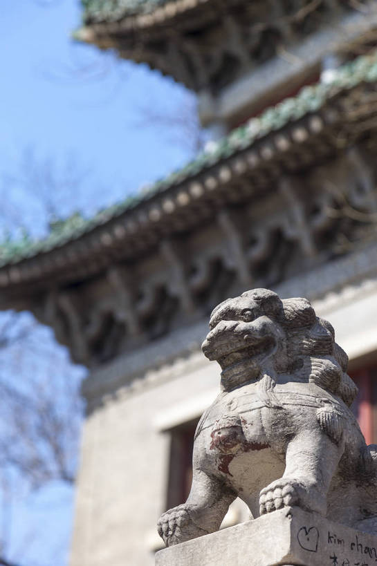 无人,竖图,全景,室外,特写,白天,仰视,旅游,名胜古迹,胡同,建筑,狮子,雕塑,北京,中国,亚洲,古老,壮观,雕刻,房屋,庭院,景点,景观,院子,首都,古典,历史,文化,古建筑,石狮子,石雕,石刻,东方,风景,蓝天,天空,自然,动物,石狮,中式,旅游胜地,景色,摄影,平房,晴天,风光,四合院,都市风光,自然风光,外景,东亚,远古,中华人民共和国,北京市,京,北平,华北地区,威严,蕴含,彩图,低角度拍摄,旅行,久远,传统文化,bj174