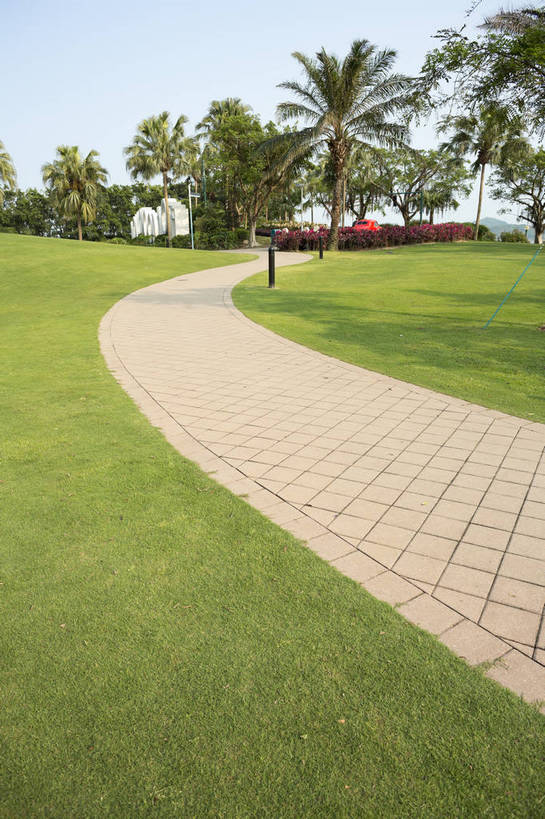 无人,竖图,彩色,室外,白天,草地,草坪,植物,道路,棕榈树,生气,小路,树木,绿色,白云,风景,蓝天,天空,活力,茂密,摄影,朝气,茂盛,生长,晴天,生机,希望,园林,风光,绿草,外景,顽强,娇嫩,椰子树,bj174