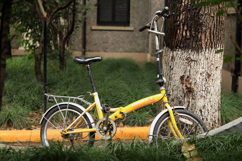 无人,家,横图,室外,白天,正面,草地,草坪,植物,窗户,道路,路,自行车,一辆,停靠,朦胧,模糊,房屋,墙,屋子,小路,交通,楼房,玻璃窗,墙壁,墙面,住宅,车,脚踏车,草,树,树木,黄色,绿色,自然,交通工具,生长,成长,载具,彩图,房子,shlxx1