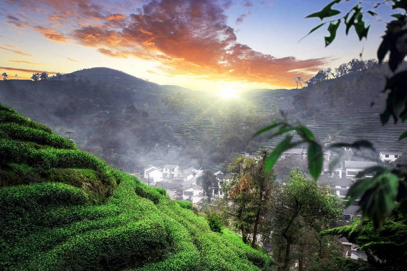 无人,家,横图,室外,白天,正面,旅游,度假,美景,日落,山,山脉,植物,中国,亚洲,许多,房屋,屋子,景观,山峰,晚霞,霞光,乡村,云,云朵,落日,农村,山峦,很多,云彩,娱乐,茶园,浙江,楼房,住宅,浙江省,蓝色,绿色,蓝天,天空,自然,黄昏,村庄,群山,天,享受,休闲,景色,彩霞,放松,生长,成长,杭州,茶树,灌木,村落,自然风光,茶场,东亚,杭州市,中华人民共和国,华东地区,省会,浙,屯子,墟落,夕照,薄暮,夕阳,彩图,傍晚,房子,斜阳,小乔木,shlxx1