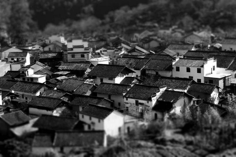 无人,家,横图,俯视,黑白,室外,白天,美景,森林,树林,植物,窗户,门,建筑,许多,朦胧,模糊,瓦片,房屋,屋顶,屋子,景观,乡村,农村,很多,顶棚,瓦,楼房,住宅,树,树木,排列,绿色,自然,门框,村庄,景色,建造,生长,成长,村落,自然风光,屋瓦,摆列,屯子,墟落,高角度拍摄,房子,布列,分列,shlxx1