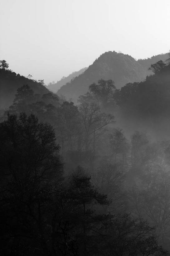 无人,竖图,黑白,室外,白天,正面,旅游,度假,美景,森林,山,山脉,树林,植物,雾,中国,亚洲,朦胧,模糊,景观,山峰,山峦,娱乐,江西,婺源,树,树木,绿色,天空,自然,群山,天,享受,休闲,景色,放松,生长,成长,迷雾,自然风光,东亚,江西省,中华人民共和国,华东地区,赣,婺源县,上饶,上饶市,大雾,shlxx1