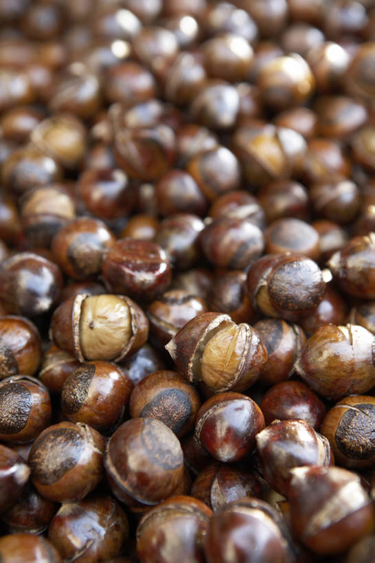 无人,竖图,特写,烧烤,静物,北京,中国,亚洲,许多,丰富,壳,栗子,美味,食品,褐色,市场,饮品,很多,小吃,饮食,食物,特产,饮料,摄影,可口,努力,东亚,东亚文化,健康食物,适口,设计,彩图,高角度拍摄,全框架,bj175