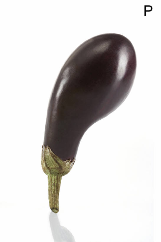 无人,白色背景,农作物,茄子,蔬菜,静物,水果,敲打,形状,反射,英文,标志,材料,文字,字符,字母,生食,食品,饮品,输入,标识,饮食,食物,饮料,自然,打字,概念,健康,成熟,摄影,有机食品,英文字母,点击,敲击,创造力,可口,清新,字母表,健康食物,式样,适口,想法,大写字母,按键,彩图,bj175