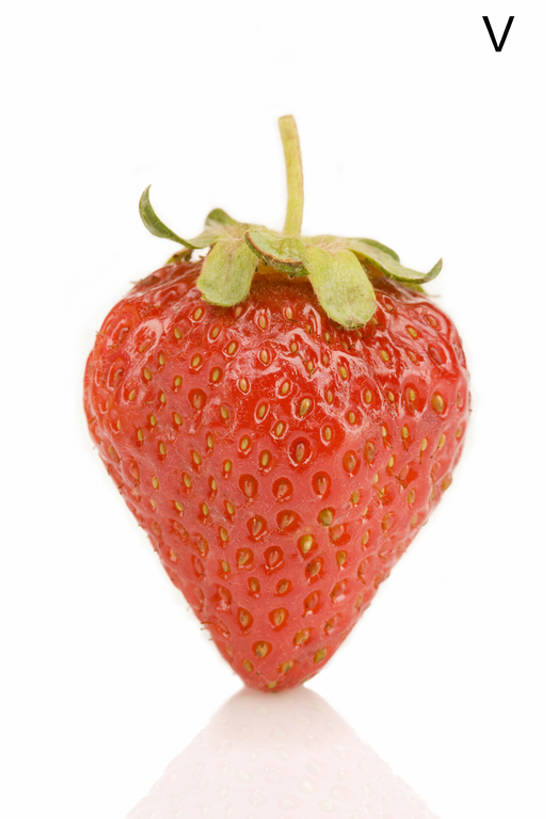 无人,白色背景,农作物,草莓,浆果,静物,水果,敲打,形状,反射,英文,标志,材料,文字,字符,字母,生食,食品,饮品,输入,标识,饮食,食物,饮料,红色,自然,打字,概念,健康,成熟,摄影,有机食品,英文字母,点击,敲击,创造力,可口,清新,字母表,健康食物,式样,适口,想法,大写字母,按键,彩图,bj175